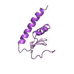 Example Structure of poly(A)-specific ribonuclease EC#: 3.1.13.4