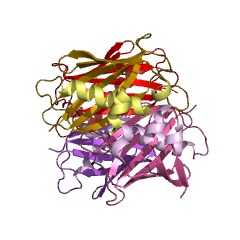 Example Structure of acetyl-CoA hydrolase EC#: 3.1.2.1