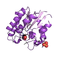 Example Structure of oleoyl-[acyl-carrier-protein] hydrolase EC#: 3.1.2.14