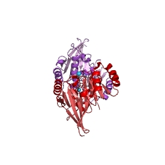Example Structure of tRNase Z EC#: 3.1.26.11