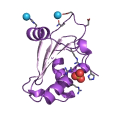 Example Structure of ribonuclease P EC#: 3.1.26.5