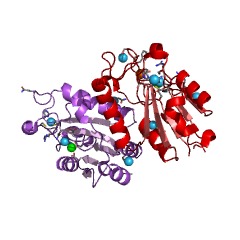 Example Structure of histidinol-phosphatase EC#: 3.1.3.15