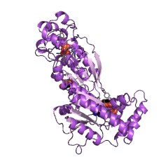 Example Structure of fructose-2,6-bisphosphate 2-phosphatase EC#: 3.1.3.46