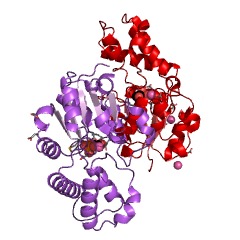 Example Structure of 2-deoxyglucose-6-phosphatase EC#: 3.1.3.68