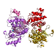 Example Structure of kanosamine-6-phosphate phosphatase EC#: 3.1.3.92