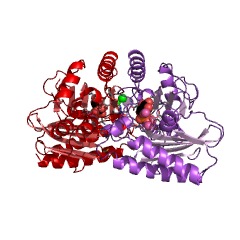Example Structure of D-galactose 1-phosphate phosphatase EC#: 3.1.3.94