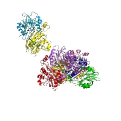 Example Structure of 2',3'-cyclic-nucleotide 2'-phosphodiesterase EC#: 3.1.4.16