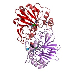 Example Structure of phosphoribosyl 1,2-cyclic phosphate phosphodiesterase EC#: 3.1.4.55