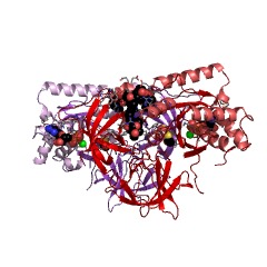 Example Structure of dGTPase EC#: 3.1.5.1
