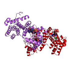 Example Structure of guanosine-3',5'-bis(diphosphate) 3'-diphosphatase EC#: 3.1.7.2