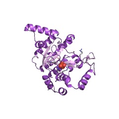 Example Structure of isotuberculosinol synthase EC#: 3.1.7.9