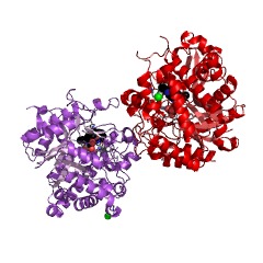 Example Structure of raucaffricine beta-glucosidase EC#: 3.2.1.125