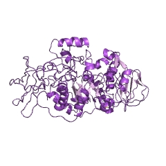 Example Structure of 4-alpha-D-{(1->4)-alpha-D-glucano}trehalose trehalohydrolase EC#: 3.2.1.141″ /></td>
</tr>
<tr>
<td>别名</td>
<td>4-alpha-D-{(1->4)-alpha-D-glucano}trehalose trehalohydrolase, BvMTH, glycosyltrehalose trehalohydrolase, GTHase, malto-oligosyltrehalose trehalohydrolase, maltooligosyl trehalose tetrahydrolase, Maltooligosyl trehalose trehalohydrolase, maltooligosyl trehalose trehalohydrolase (Rhizobium strain M-11 clone pMBTU1 gene treZ reduced), maltooligosyltrehalose trehalohydrolase, maltooligosyltrehalose trehalosidase, MhMTH, MTH, MTHase, trehalosidase, maltooligosyltrehalose, trehalosidase, maltooligosyltrehalose (Rhizobium strain M-11 clone pBMTU1 gene treZ reduced), TreZ</td>
</tr>
<tr>
<td>EC Number</td>
<td>3.2.1.141</td>
</tr>
<tr>
<td>CAS编号</td>
<td>170780-50-4;176431-02-0</td>
</tr>
<tr>
<td>Comments</td>
<td></td>
</tr>
<tr>
<td>Cofactor</td>
<td></td>
</tr>
<tr>
<td>History</td>
<td></td>
</tr>
<tr>
<td>Reactions</td>
<td>Hydrolysis of (1->4)-alpha-D-glucosidic linkage in 4-alpha-D-((1->4)- alpha-D-glucanosyl)(n) trehalose to yield trehalose and (1->4)-alpha-D- glucan.</td>
</tr>
</tbody>
</table>
</figure>
<!-- Developer mode initialization; Version: ;4.3.3Relation: tags; All categories: 1;No taxonomy terms to get posts;Plugin execution time: 0.00043797492980957 sec; --><!-- CONTENT END 1 -->
<table>
<tr><td colspan=