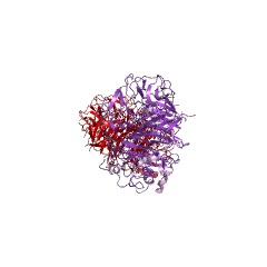 Example Structure of oligoxyloglucan reducing-end-specific cellobiohydrolase EC#: 3.2.1.150