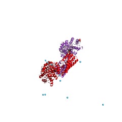Example Structure of protein O-GlcNAcase EC#: 3.2.1.169