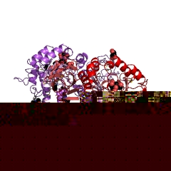 Example Structure of alpha-galactosidase EC#: 3.2.1.22