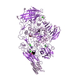 Example Structure of endo-alpha-N-acetylgalactosaminidase EC#: 3.2.1.97
