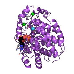Example Structure of [protein ADP-ribosylarginine] hydrolase EC#: 3.2.2.19