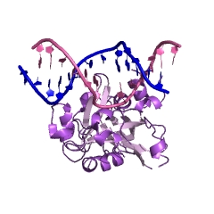 Example Structure of DNA-3-methyladenine glycosylase II EC#: 3.2.2.21