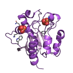 Example Structure of double-stranded uracil-DNA glycosylase EC#: 3.2.2.28