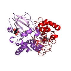 Example Structure of NAD+ glycohydrolase EC#: 3.2.2.5