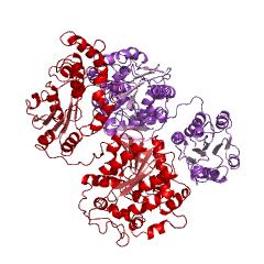 Example Structure of soluble epoxide hydrolase EC#: 3.3.2.10