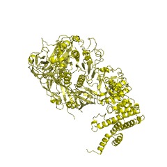 Example Structure of tripeptidyl-peptidase II EC#: 3.4.14.10