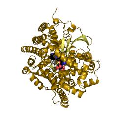 Example Structure of Peptidyl-dipeptidase Dcp EC#: 3.4.15.5