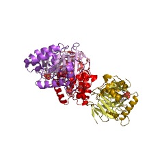 Example Structure of cyanophycinase EC#: 3.4.15.6