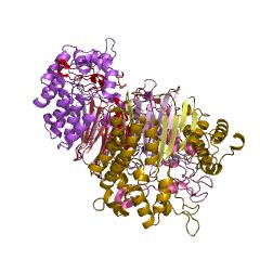 Example Structure of glutathione gamma-glutamate hydrolase EC#: 3.4.19.13