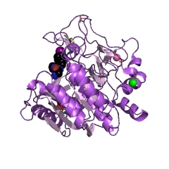 Example Structure of sedolisin EC#: 3.4.21.100