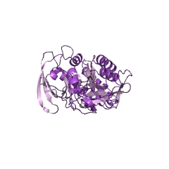 Example Structure of C-terminal processing peptidase EC#: 3.4.21.102
