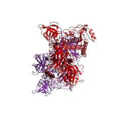 Example Structure of C5a peptidase EC#: 3.4.21.110