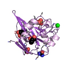 Example Structure of infectious pancreatic necrosis birnavirus Vp4 peptidase EC#: 3.4.21.115