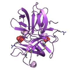 Example Structure of alpha-lytic endopeptidase EC#: 3.4.21.12