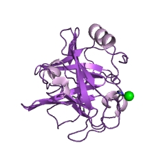 Example Structure of glutamyl endopeptidase EC#: 3.4.21.19