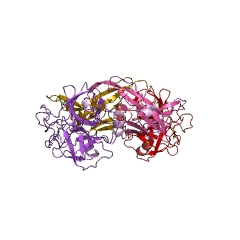 Example Structure of brachyurin EC#: 3.4.21.32