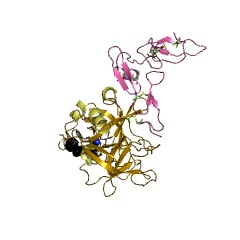 Example Structure of Protein C (activated) EC#: 3.4.21.69
