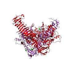 Example Structure of IgA-specific serine endopeptidase EC#: 3.4.21.72