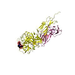 Example Structure of semenogelase EC#: 3.4.21.77
