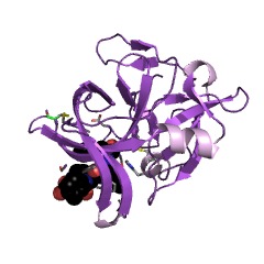 Example Structure of Streptogrisin A EC#: 3.4.21.80