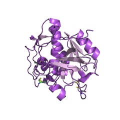 Example Structure of cathepsin S EC#: 3.4.22.27