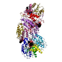 Example Structure of caspase-8 EC#: 3.4.22.61