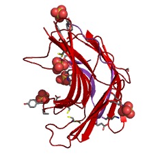Example Structure of Aspergillopepsin II EC#: 3.4.23.19