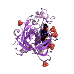 Example Structure of Polyporopepsin EC#: 3.4.23.29