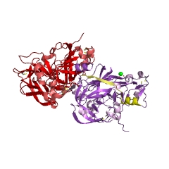 Example Structure of gastricsin EC#: 3.4.23.3