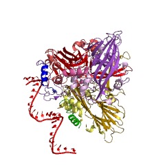 Example Structure of nodavirus endopeptidase EC#: 3.4.23.44