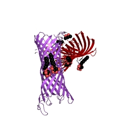 Example Structure of omptin EC#: 3.4.23.49