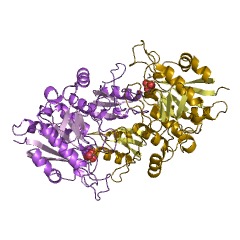 Example Structure of asparaginase EC#: 3.5.1.1
