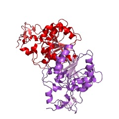 Example Structure of protein deglycase EC#: 3.5.1.124